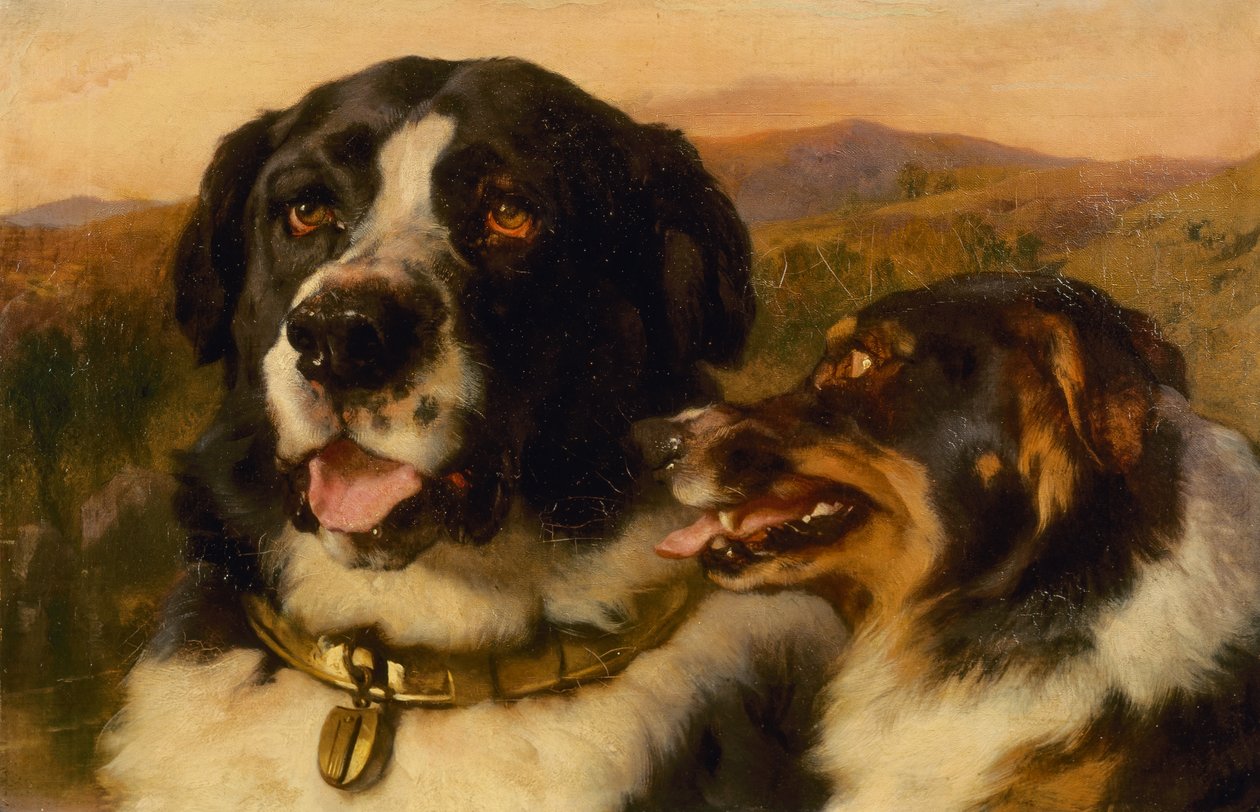 The Twa Dogs (öljy kankaalle) tekijältä Edwin Landseer