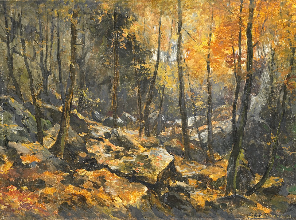 Felsenmeer tekijältä Egbert Schaap