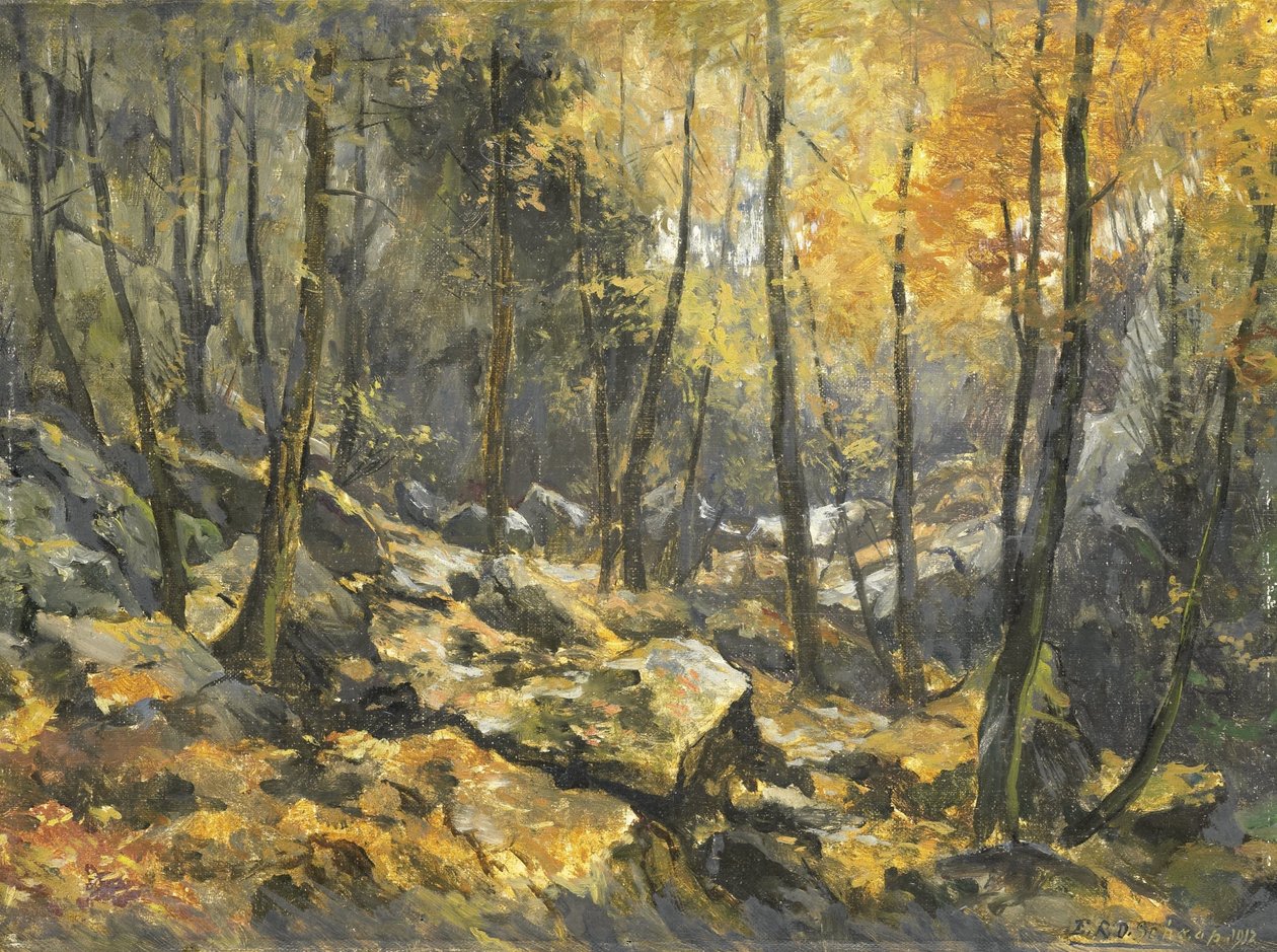 "Felsenmeer" tekijältä Egbert Rubertus Derk Schaap
