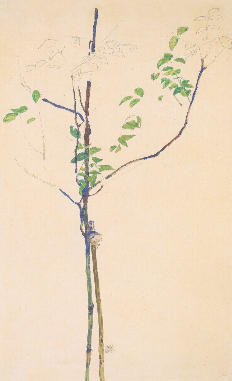 Nuori taimi tuella tekijältä Egon Schiele