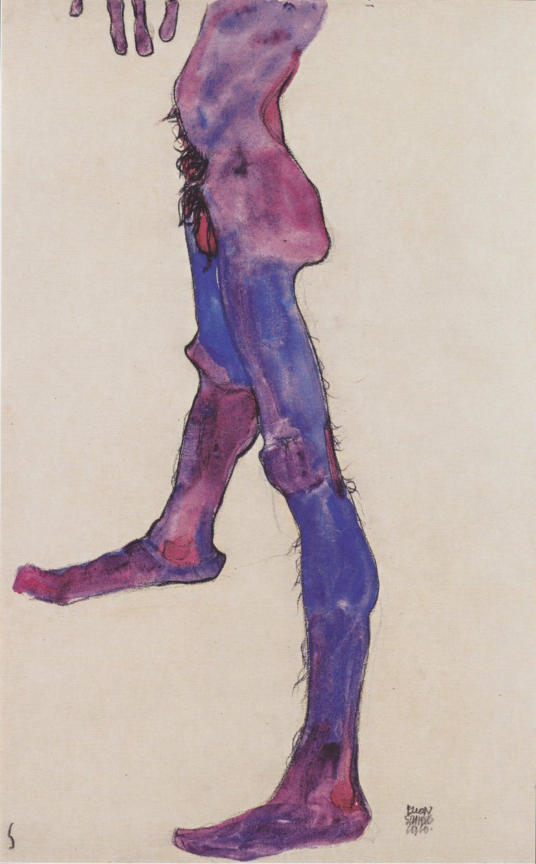 Miehen vatsan vartalo tekijältä Egon Schiele