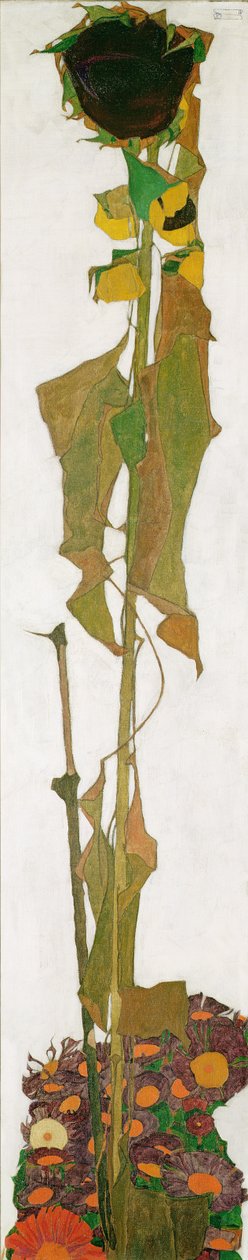 Auringonkukka tekijältä Egon Schiele