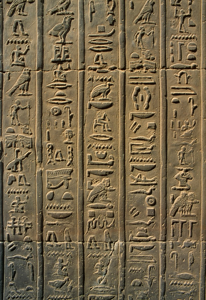 Yksityiskohta helpotushieroglyfit -kivestä tekijältä Egyptian