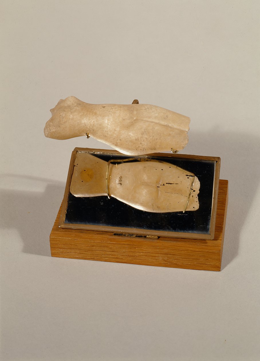 Naisen vartalo, Uusi kuningaskunta (alabasteri) tekijältä Egyptian 18th Dynasty