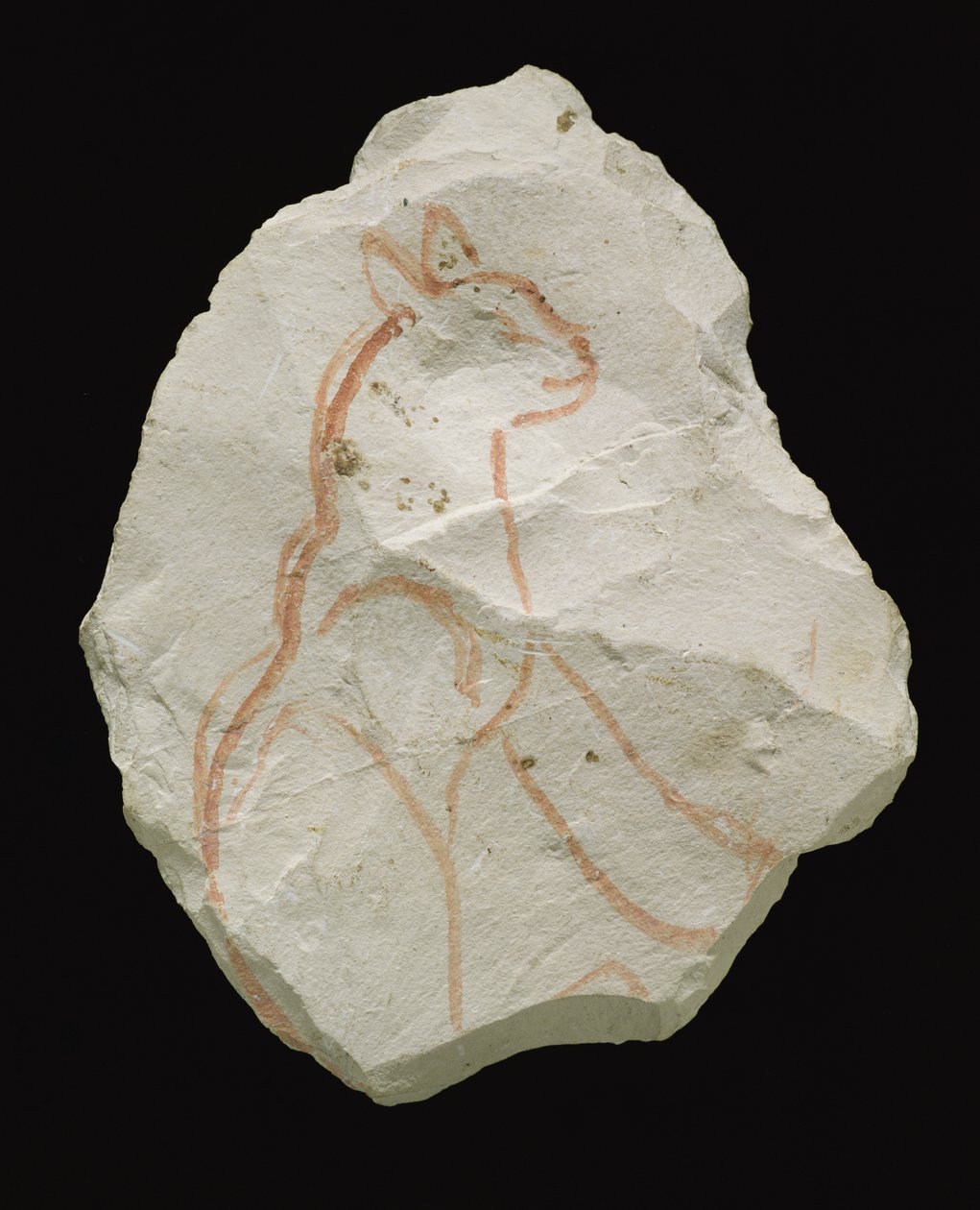 Ostracon, joka kuvaa istuvaa kissaa, New Kingdom (kalkkikivihiutale) tekijältä Egyptian 19th Dynasty