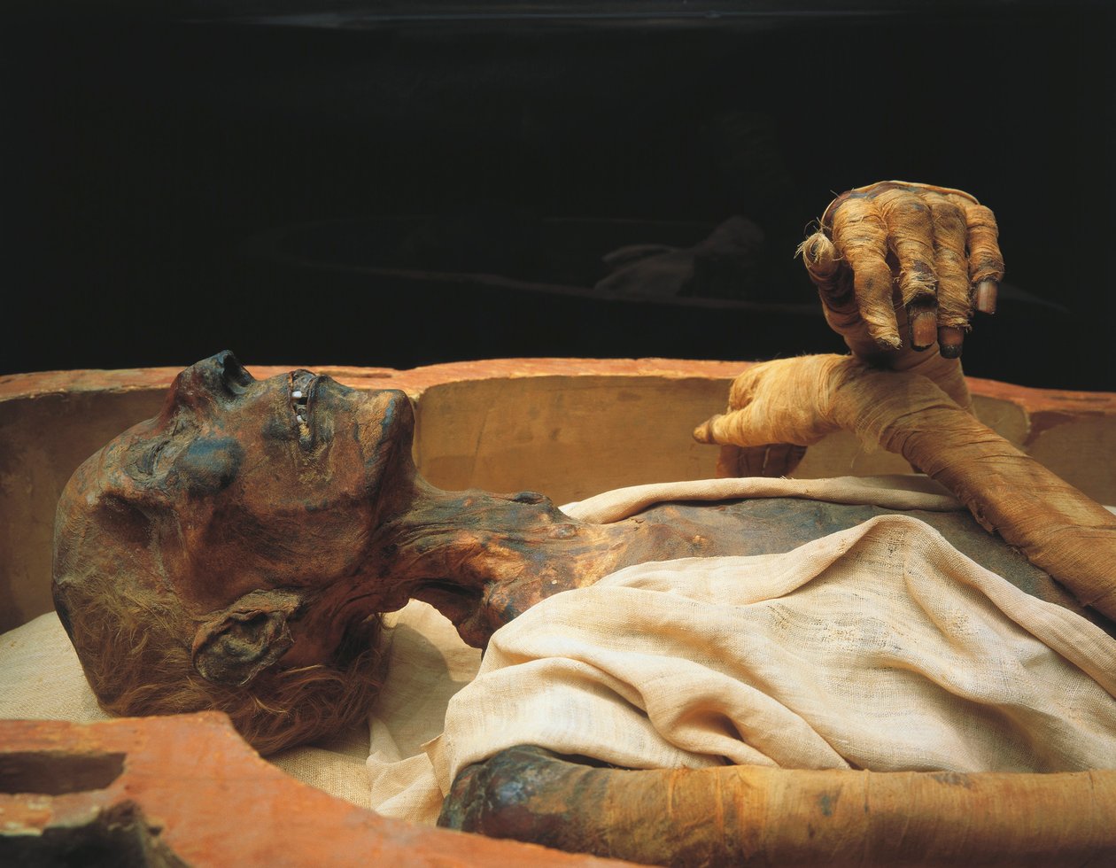 Ramses II:n muumio, yksityiskohta tekijältä Egyptian 19th Dynasty