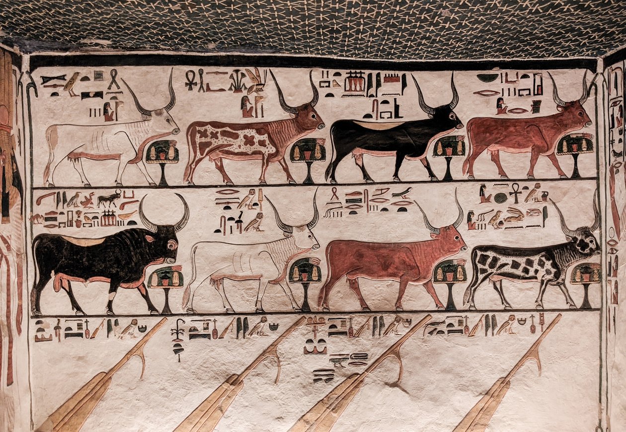 Nefertarin hauta (seinämaalaus) tekijältä Egyptian 19th Dynasty