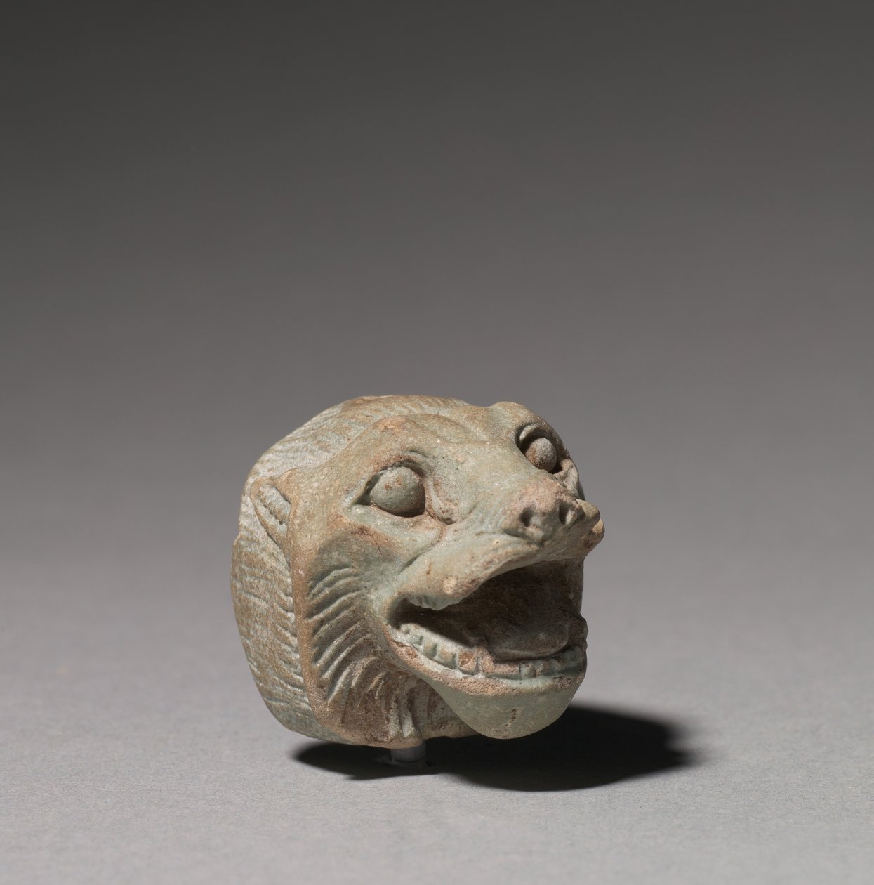Leijonan pää, 664-332 eaa tekijältä Egyptian 26th Dynasty