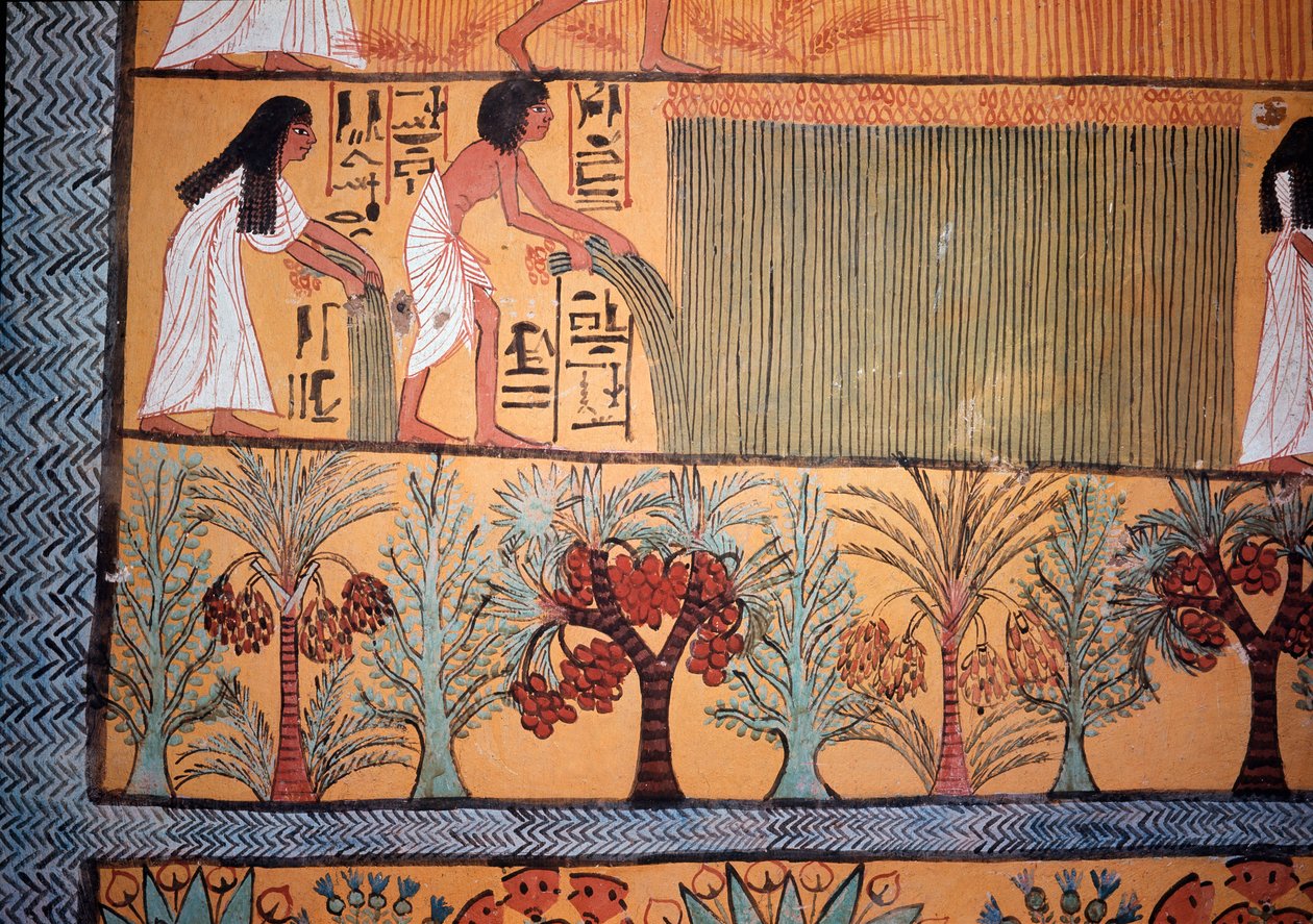 Sadonkorjuukohtaus (seinämaalaus tekijältä Egyptian Egyptian