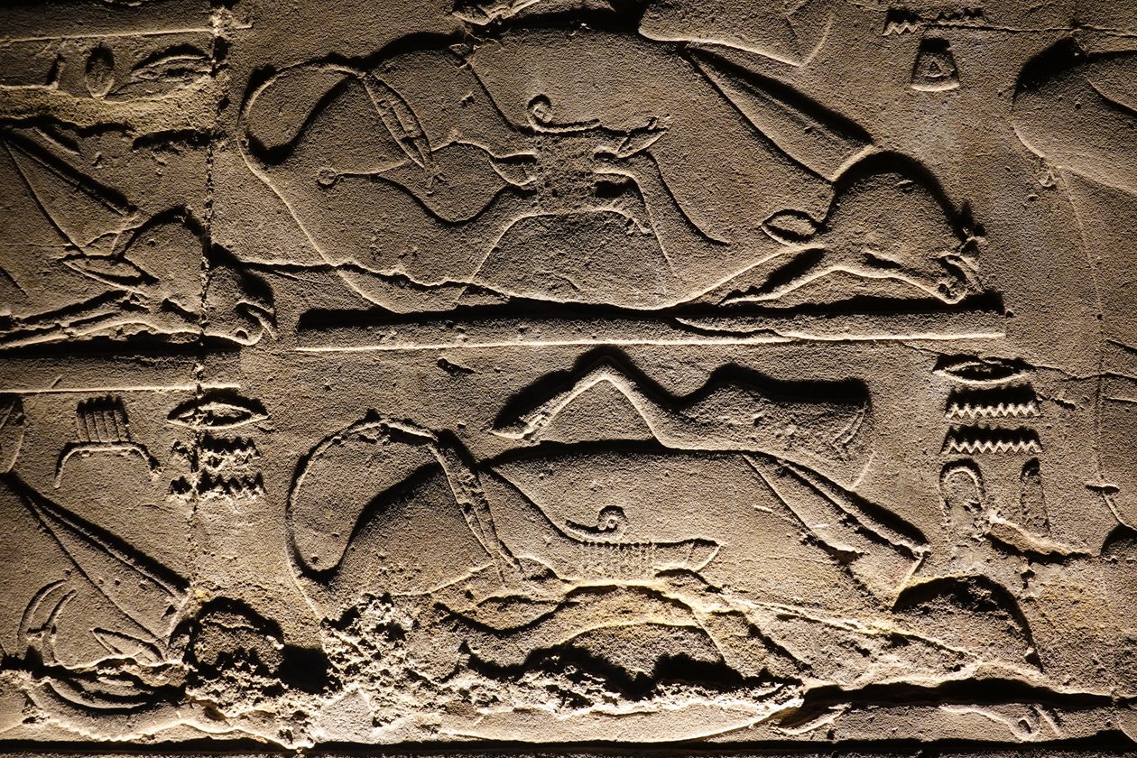 Luxorin temppeli: Luxor: Uhrauslehmät (reliefi) tekijältä Egyptian Egyptian