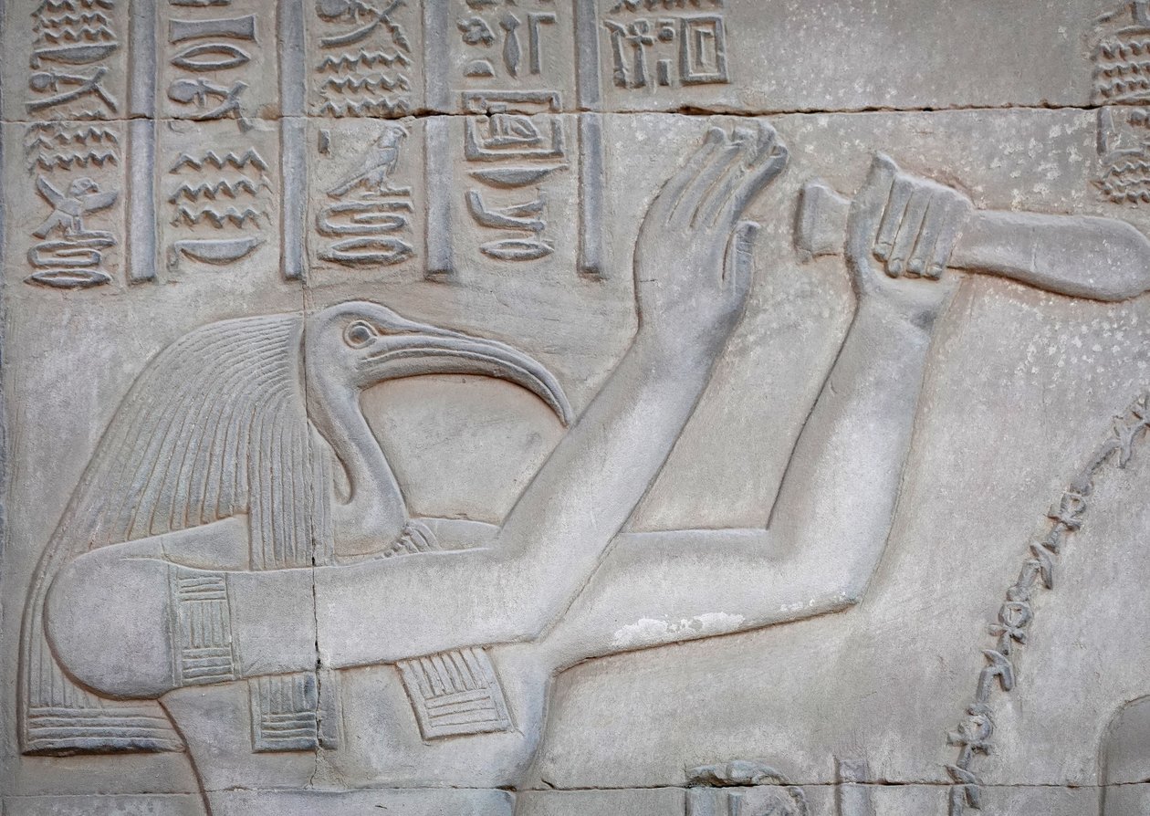 Thot, Kom Ombon temppeli (reliefi) tekijältä Egyptian Egyptian
