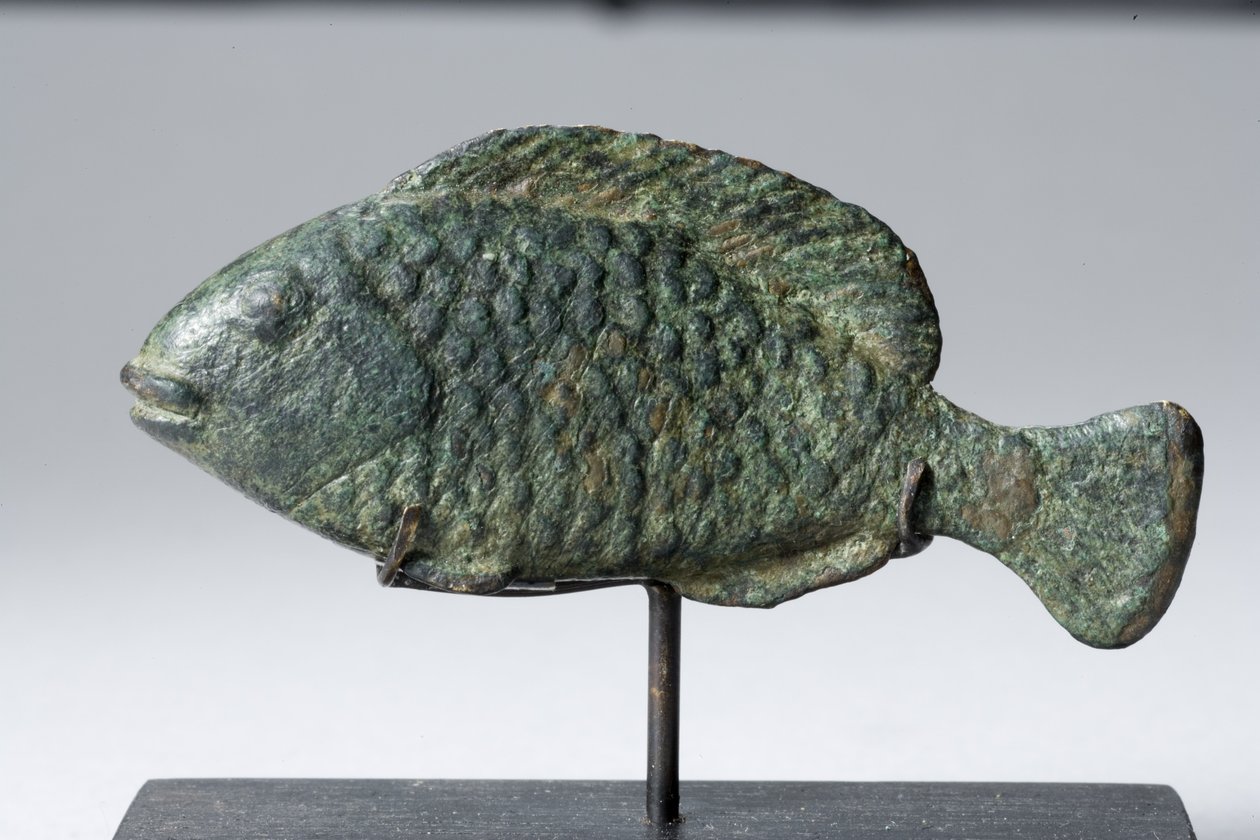 Tilapia kala (pronssi) tekijältä Egyptian Ptolemaic Period