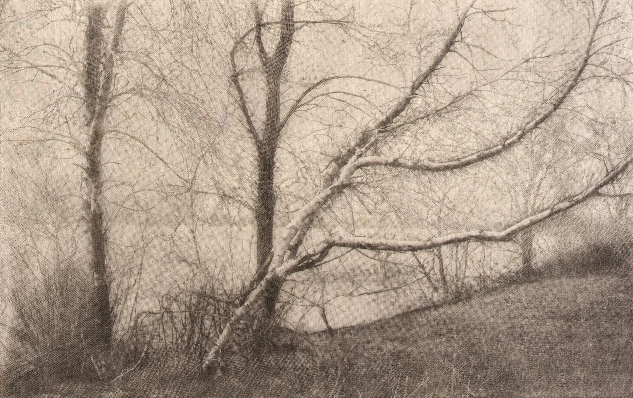 Untitled tekijältä Elbridge Kingsley