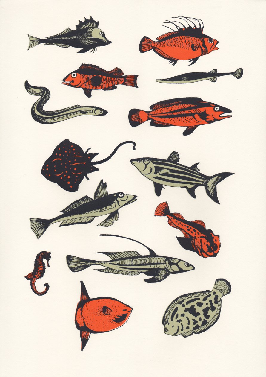 Orange Plain Fish, 2016 (silkkipainatus) tekijältä Eliza Southwood