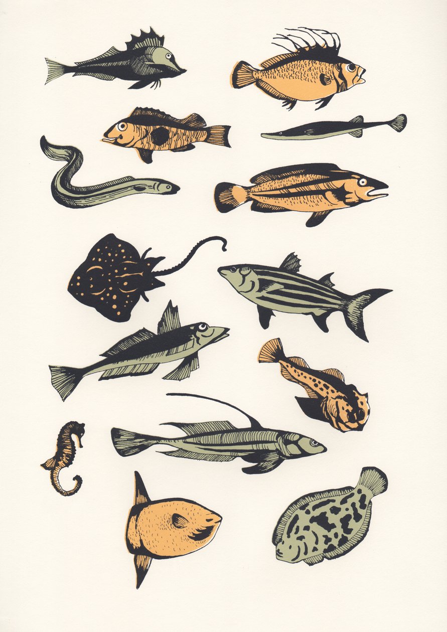 Plain Fish, 2015 (silmäpainatus) tekijältä Eliza Southwood