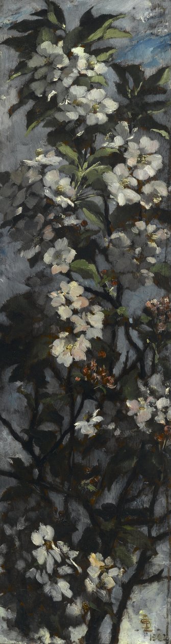 Apple Blossoms tekijältä Elizabeth Boott Duveneck