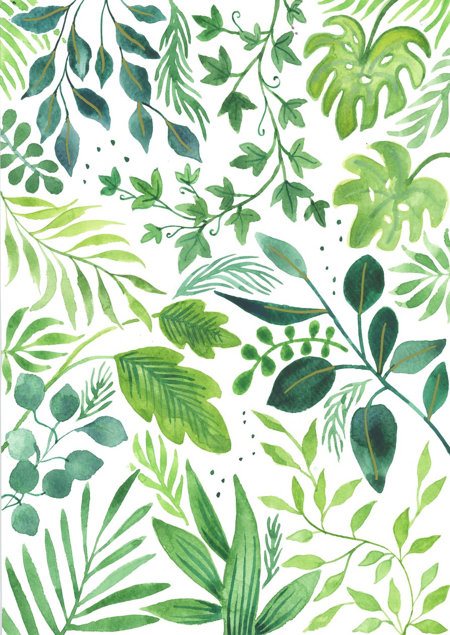 Leafy Medley, 2018 (vesiväri) tekijältä Elizabeth Rider
