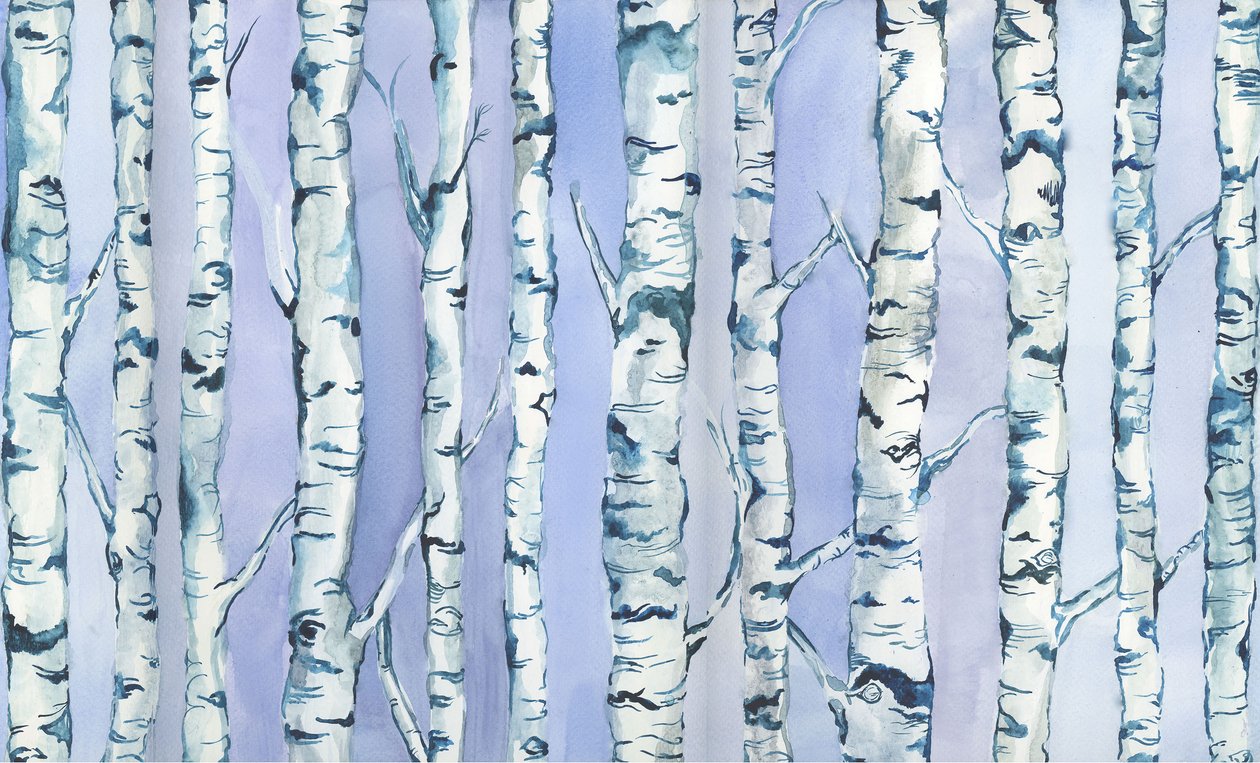 Silverbirch Forest, 2018 (akvarelli ja akryyli). tekijältä Elizabeth Rider