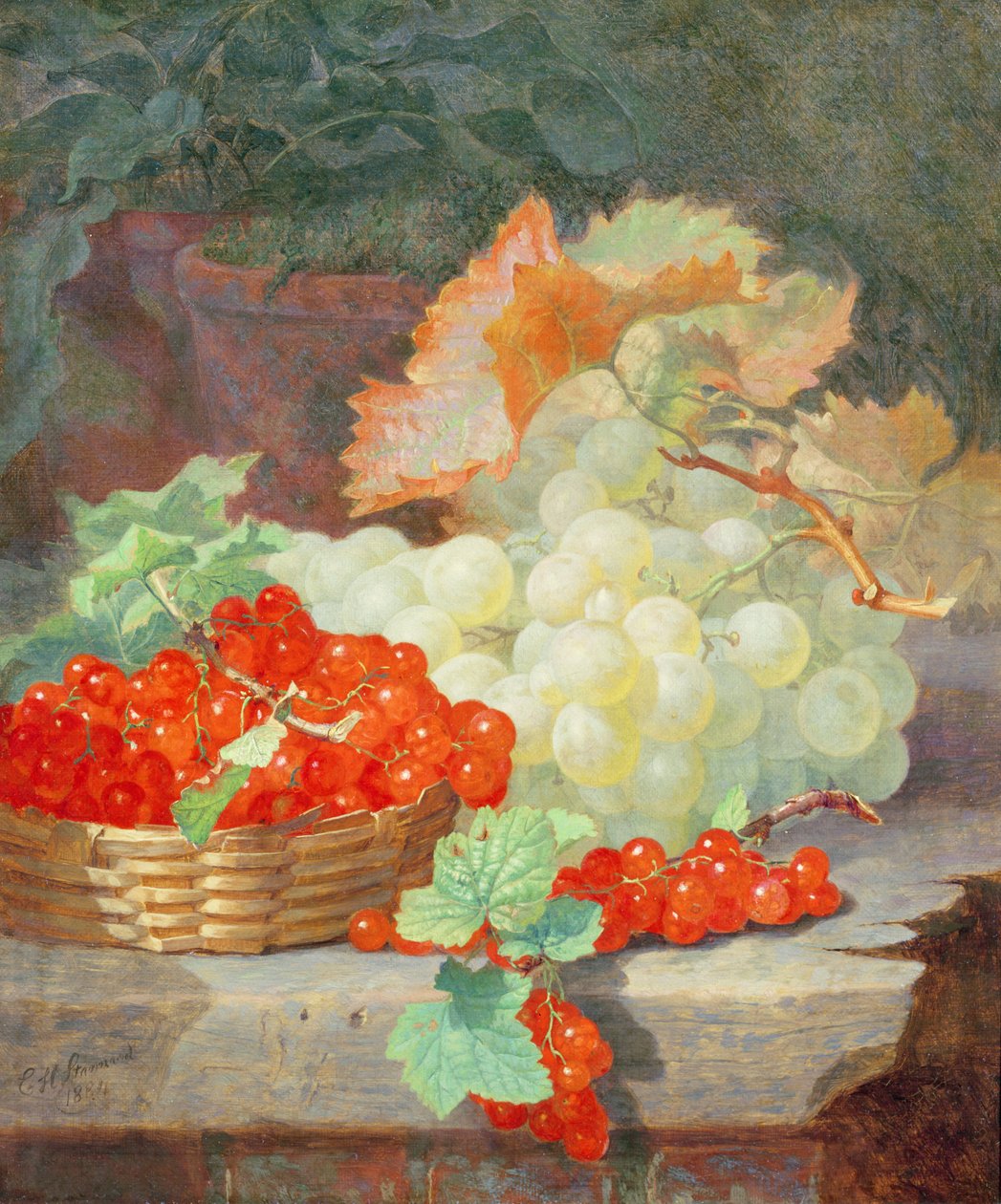 Punaherukat ja viinirypäleet, 1864 tekijältä Eloise Harriet Stannard