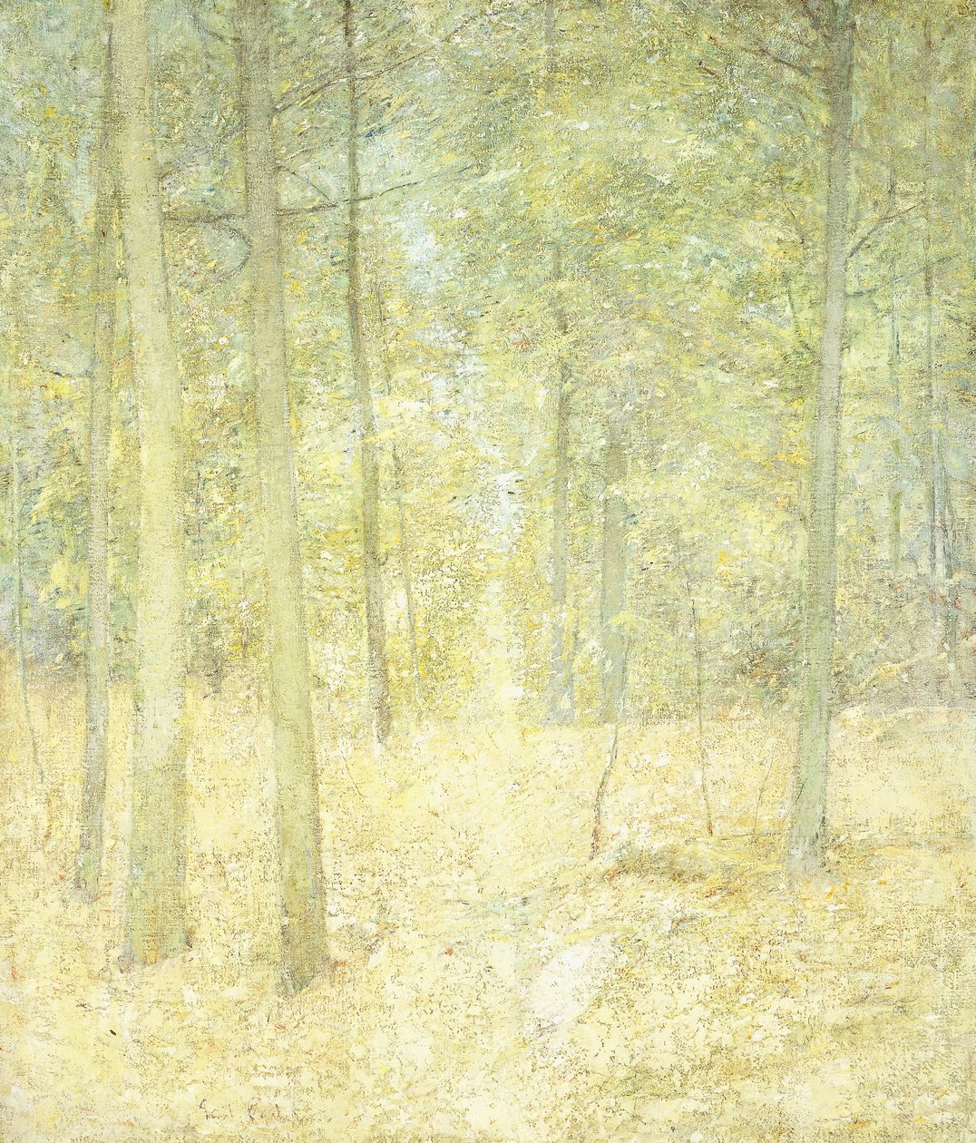 Metsäkohtaus tekijältä Emil Carlsen