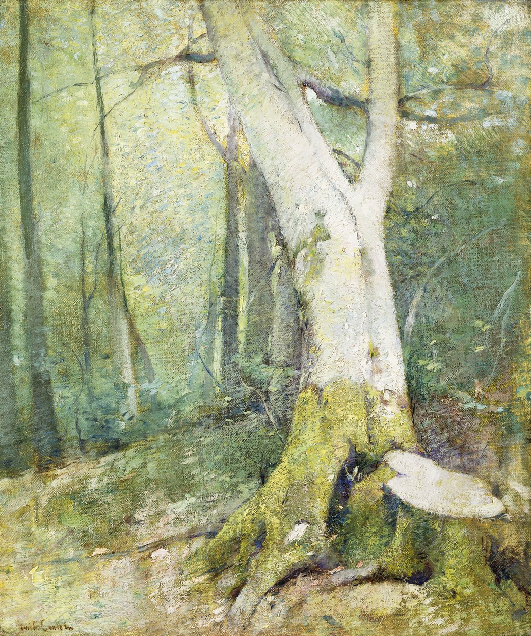 Sisustus metsä tekijältä Emil Carlsen