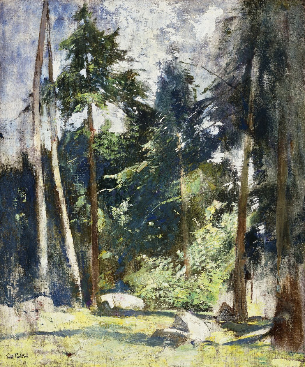 Korkeat Pines tekijältä Emil Carlsen