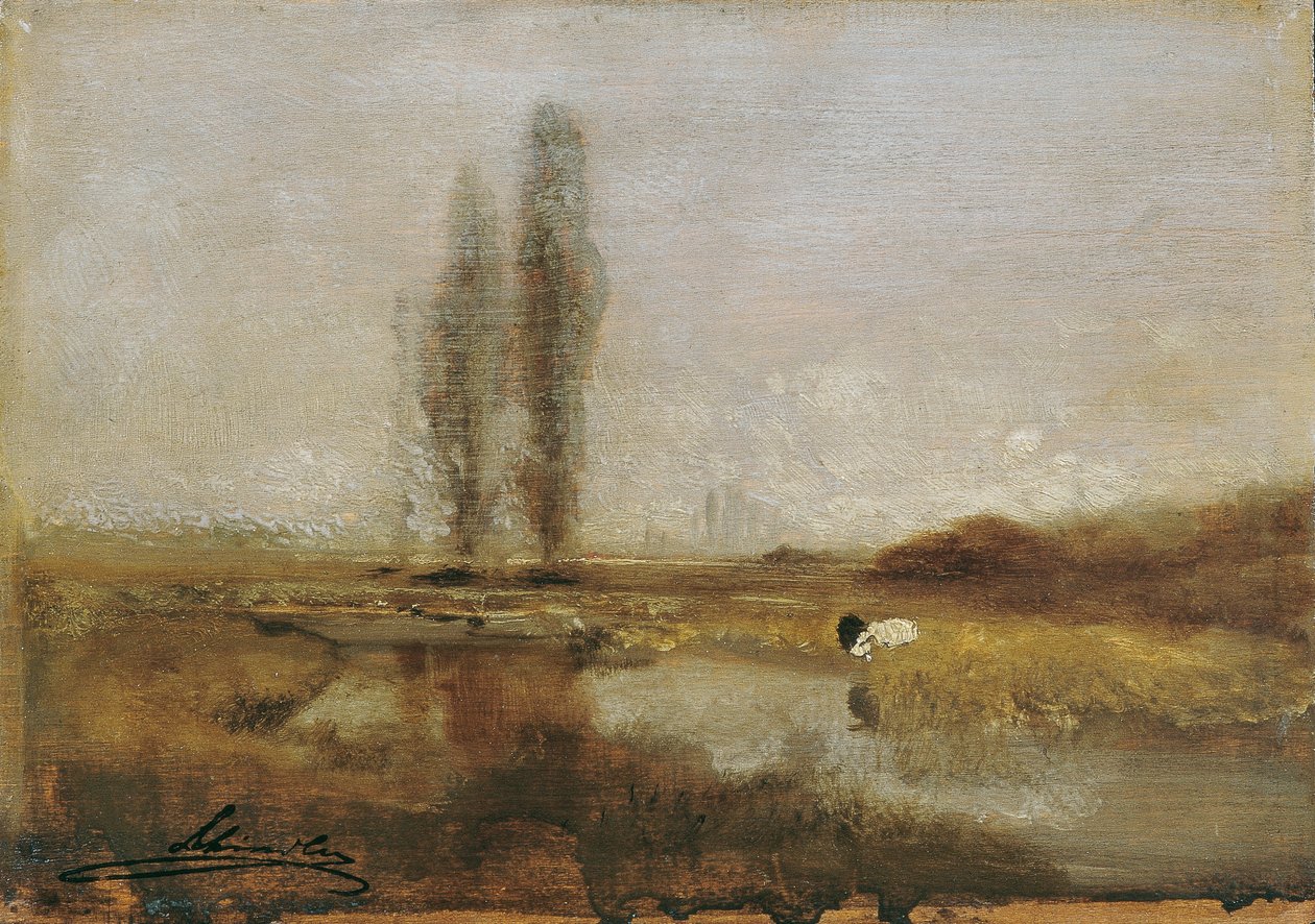 Moorland lähellä Lundenburgia tekijältä Emil Jakob Schindler