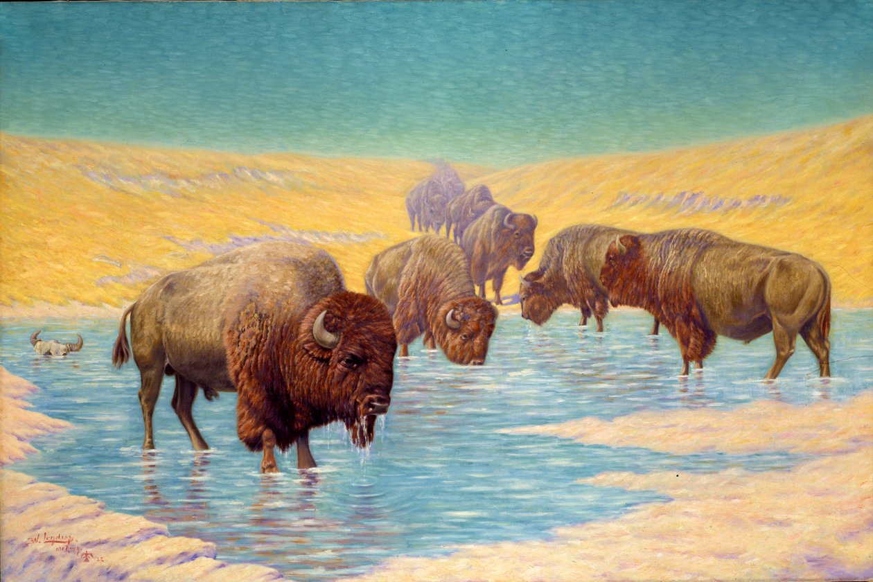 Buffalo-kohtaus, 1922. tekijältä Emil W. Lenders