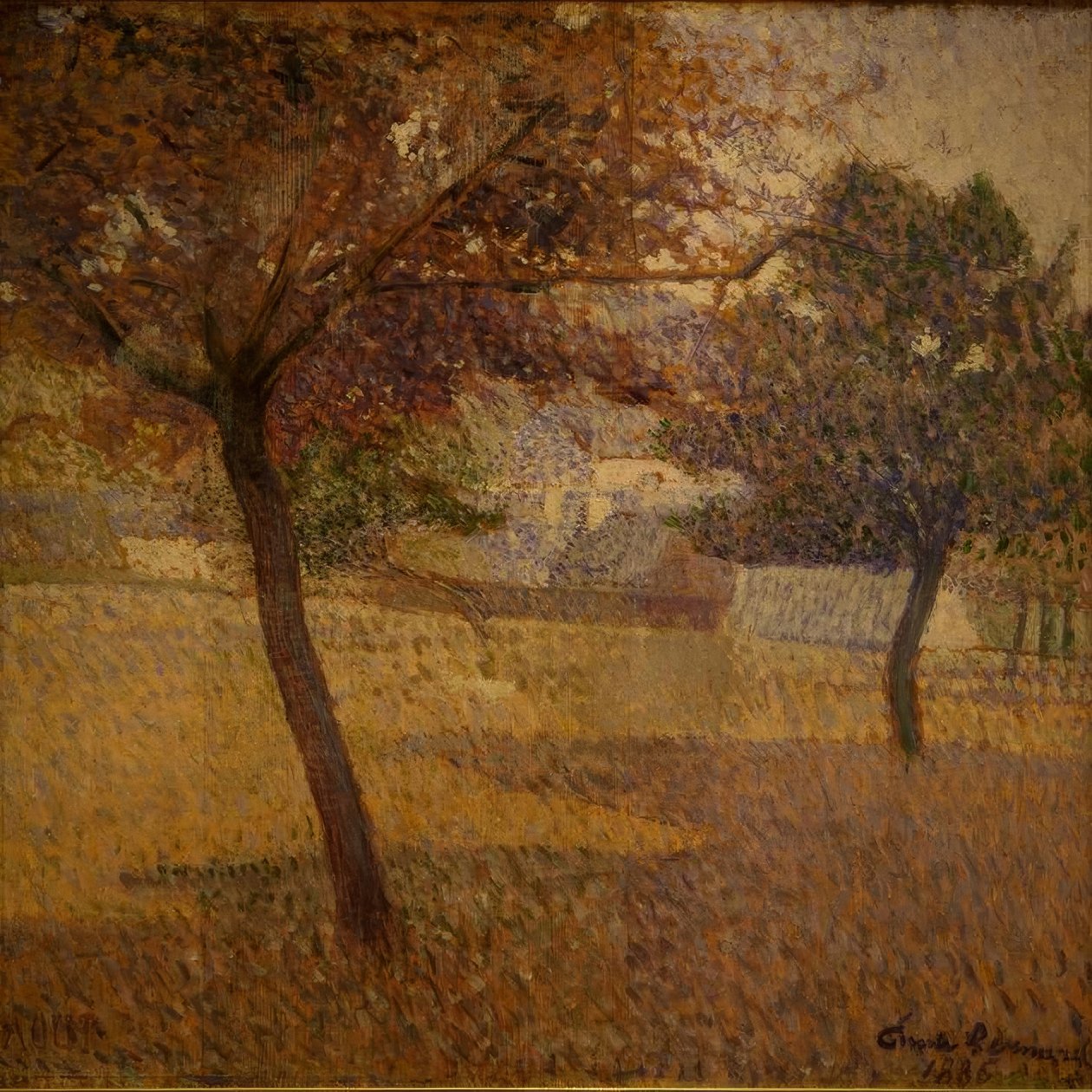 Hedelmätarha Pont-Avenissa tekijältä Emile Bernard