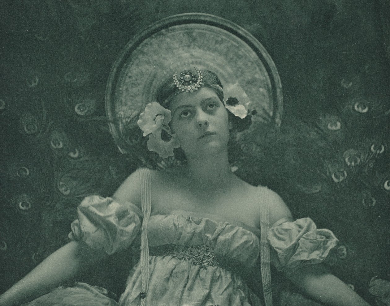 Cicada, 1899. tekijältä Emma Justine Farnsworth