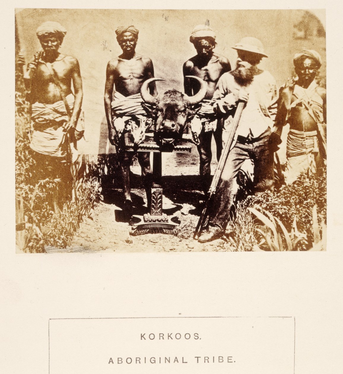 Korkoos, Aboriginal Tribe, Berar, J. Forbes Watsonin teoksesta The People of India, julkaistu 1868 (albumiprintti) tekijältä English Photographer