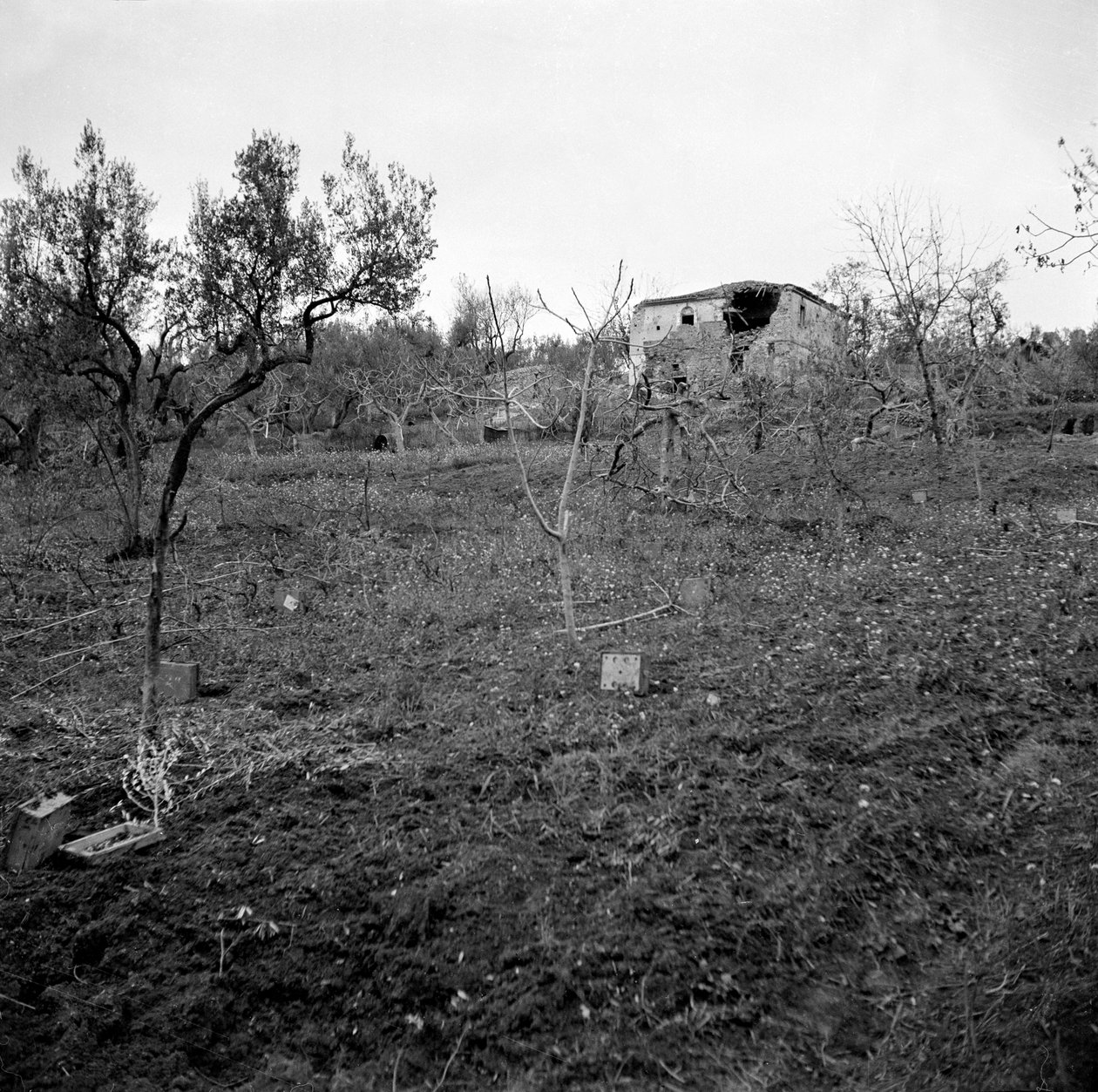 Miinakenttä, lähellä Licolle Ridgen huippua, n. 1944 tekijältä English Photographer
