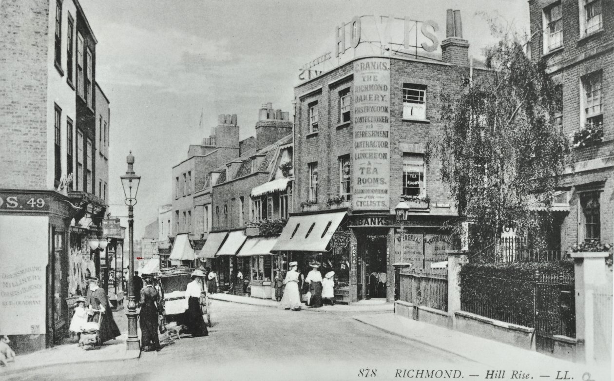 Hill Rise, Richmond: yleiskuva, 1895 tekijältä English Photographer
