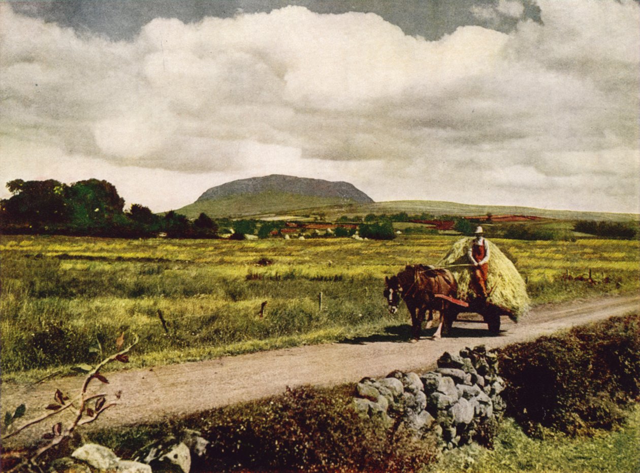 Slemish, Antrimin kreivikunta (värikuva) tekijältä English Photographer