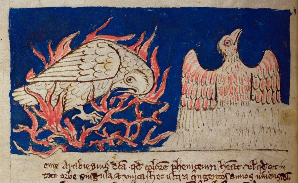 CCA-LitMs/D/10 fol. 17v Pheonix, Bestiarysta tekijältä English School