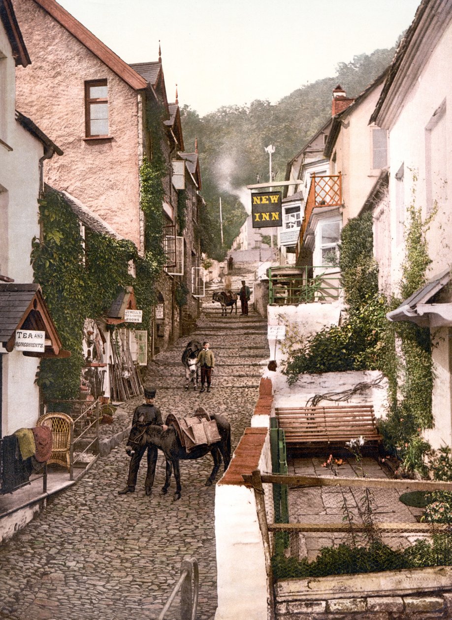 High Street, Clovelly (käsin värjätty valokuva) tekijältä English School