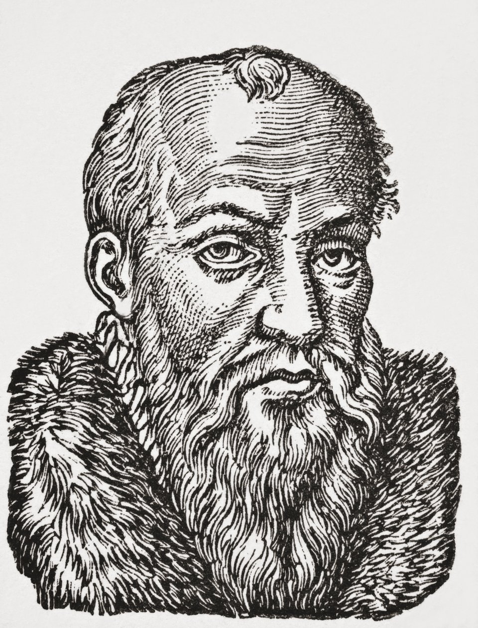 Jacques de Cujas, 1878 (litho) tekijältä English School