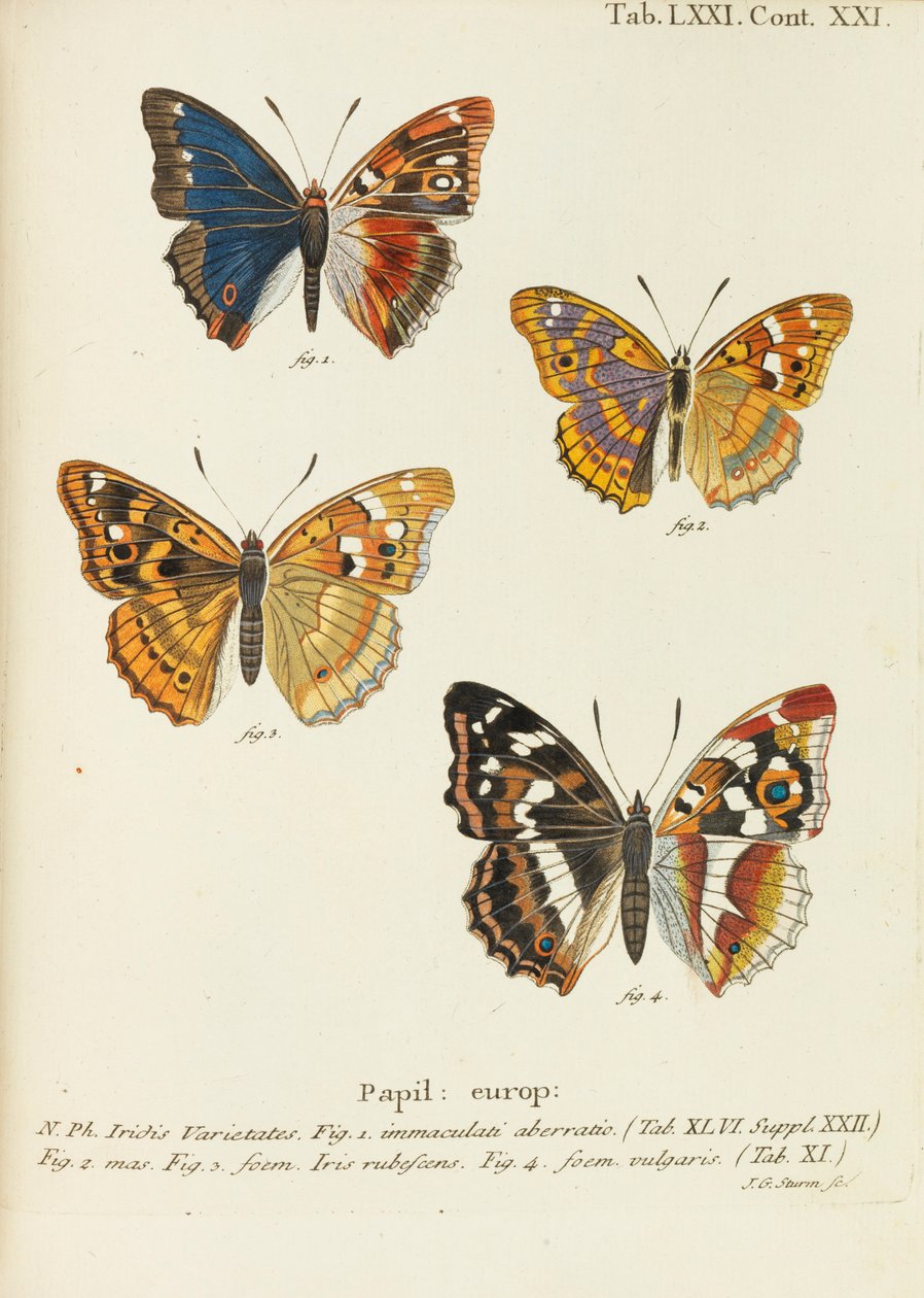 Perhoset Perhoset, 1777-1794. tekijältä Eugen Johann Christoph Esper