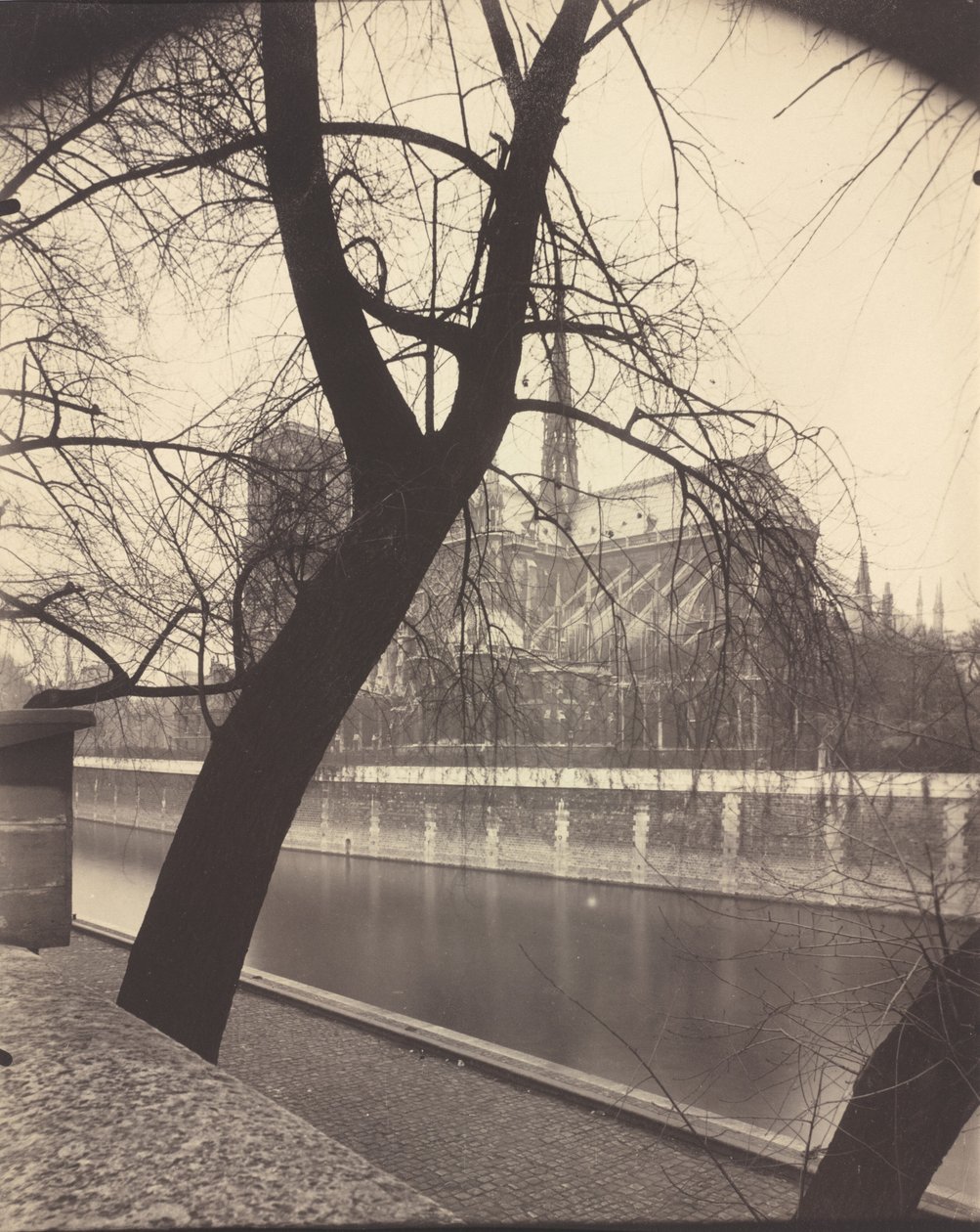 Notre-Dame,1922 (kuva) tekijältä Eugène Atget