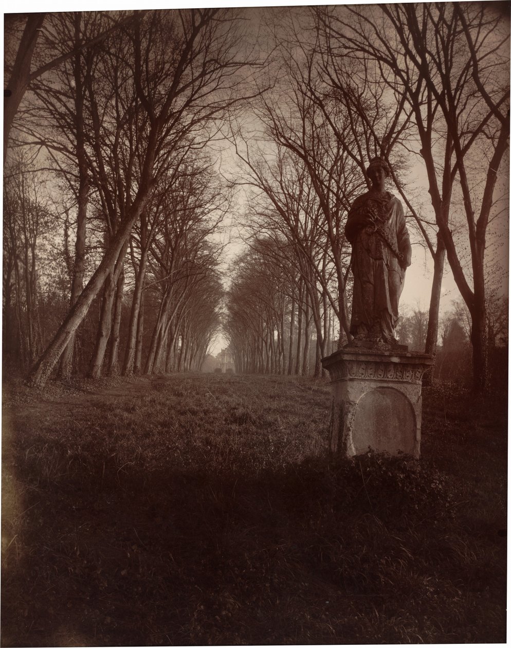 Parc de Sceaux,1925 (kuva) tekijältä Eugène Atget