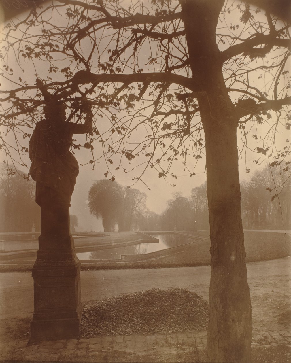 Saint-Cloud,1926 (kuva) tekijältä Eugène Atget