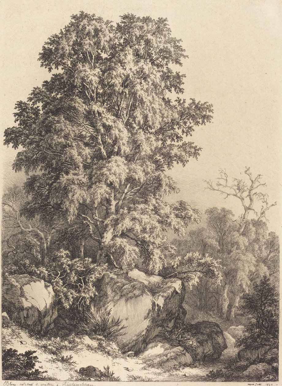 Beech Grove, 1840. tekijältä Eugene Bléry