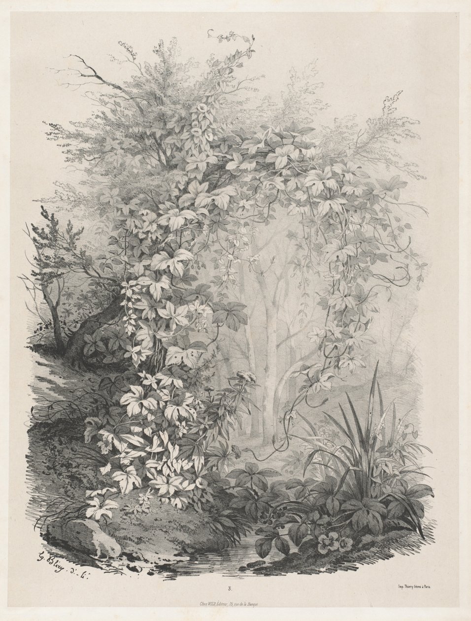 Kasveja ja muratteja virran varrella, 18481849. tekijältä Eugene Bléry