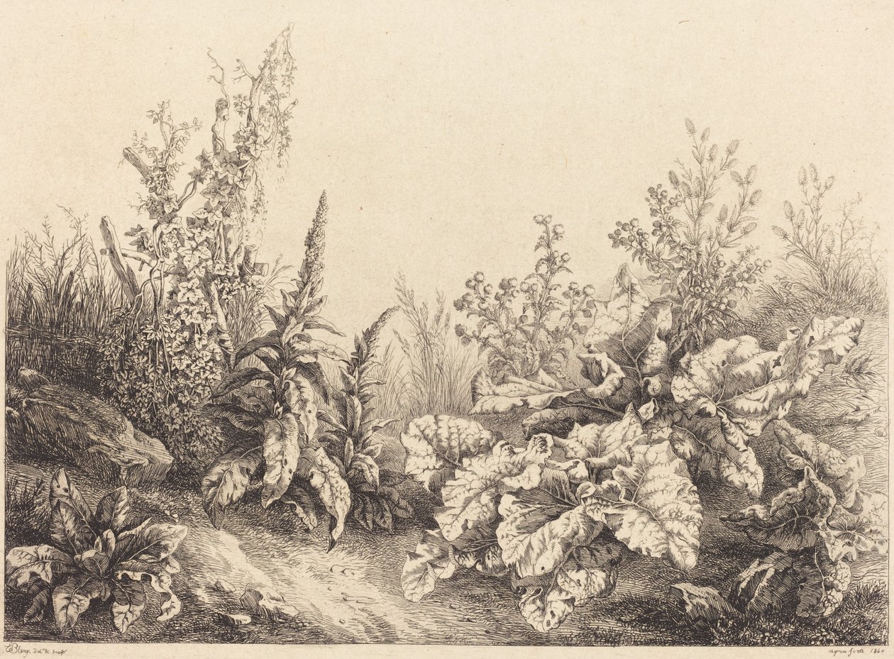 Tutkimus takiaisesta, 1840. tekijältä Eugene Bléry