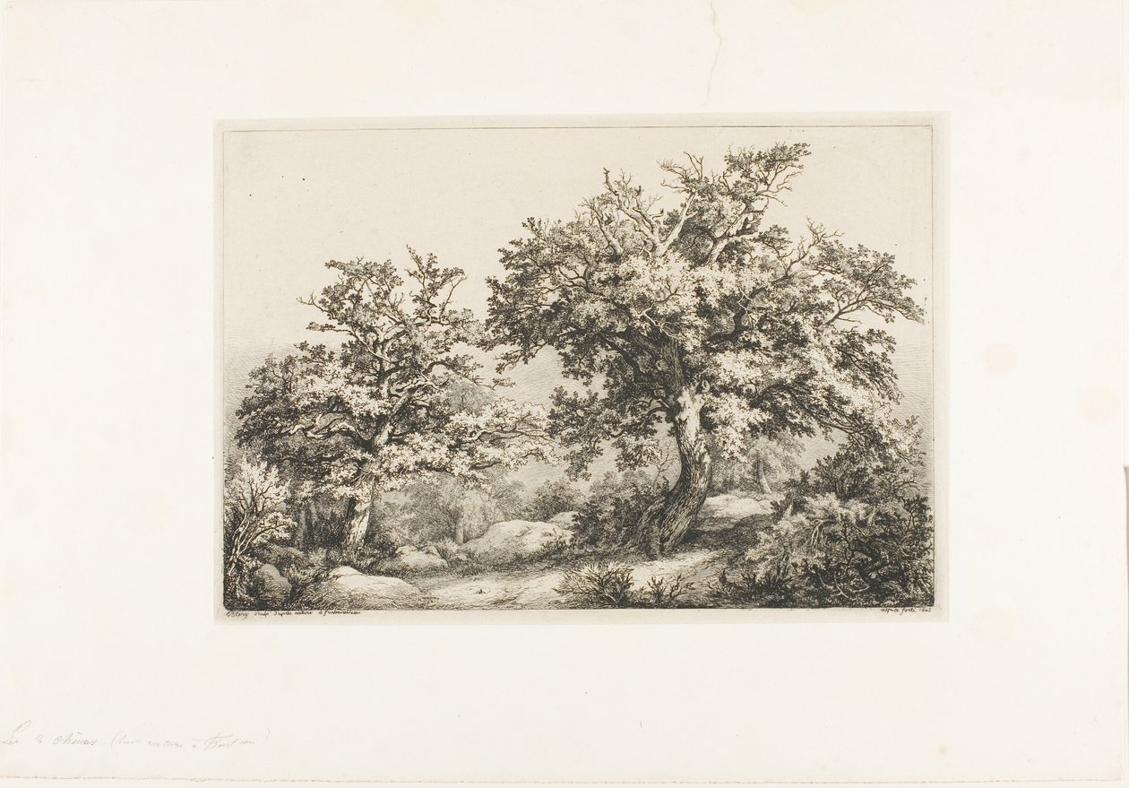 The Two Oaks, Fontainebleau tekijältä Eugene Bléry