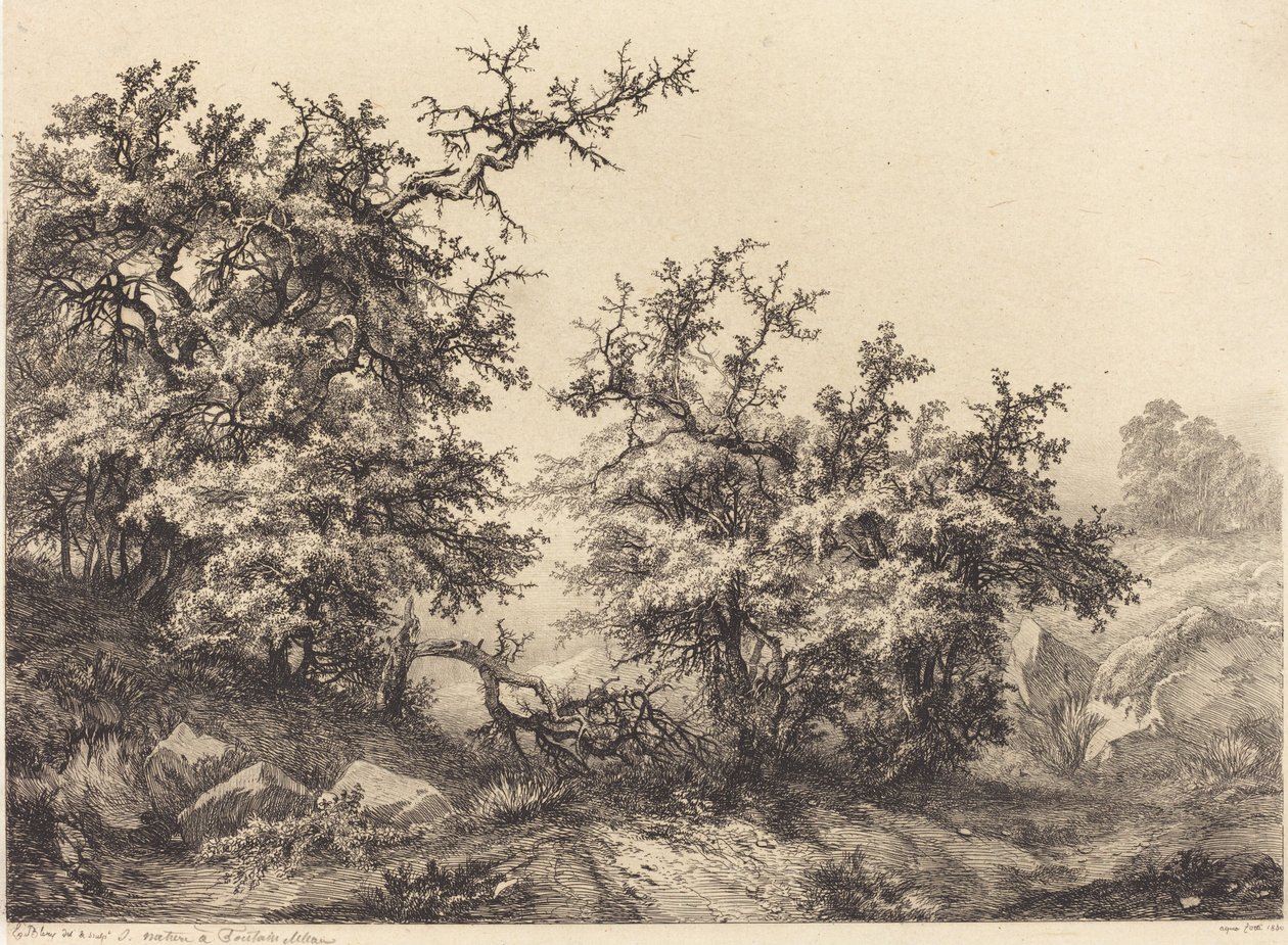 Piikkipensaat, 1840. tekijältä Eugene Bléry