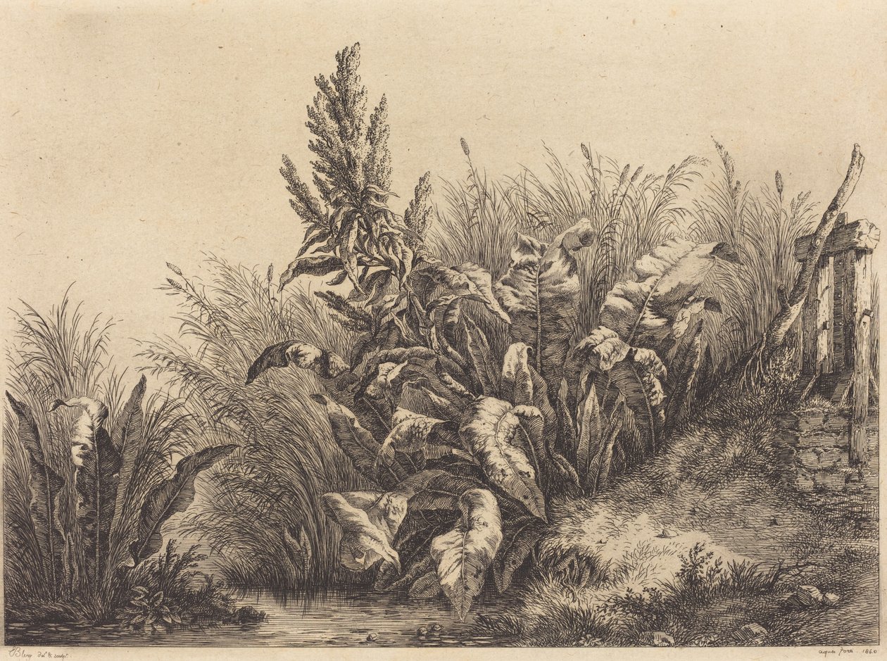 Vesilaituri, 1840. tekijältä Eugene Bléry
