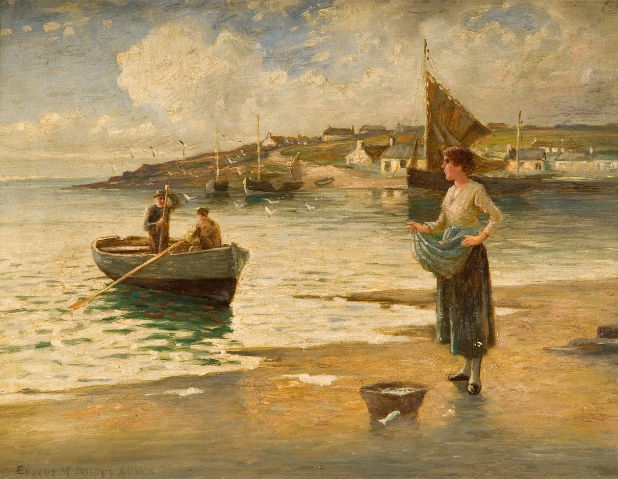 Saaliit, B tekijältä Eugene Joseph McSwiney