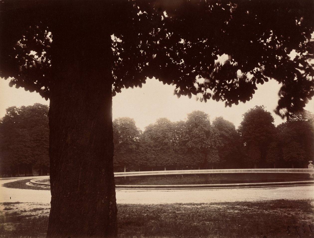 Saint-Cloud tekijältä Eugène Atget