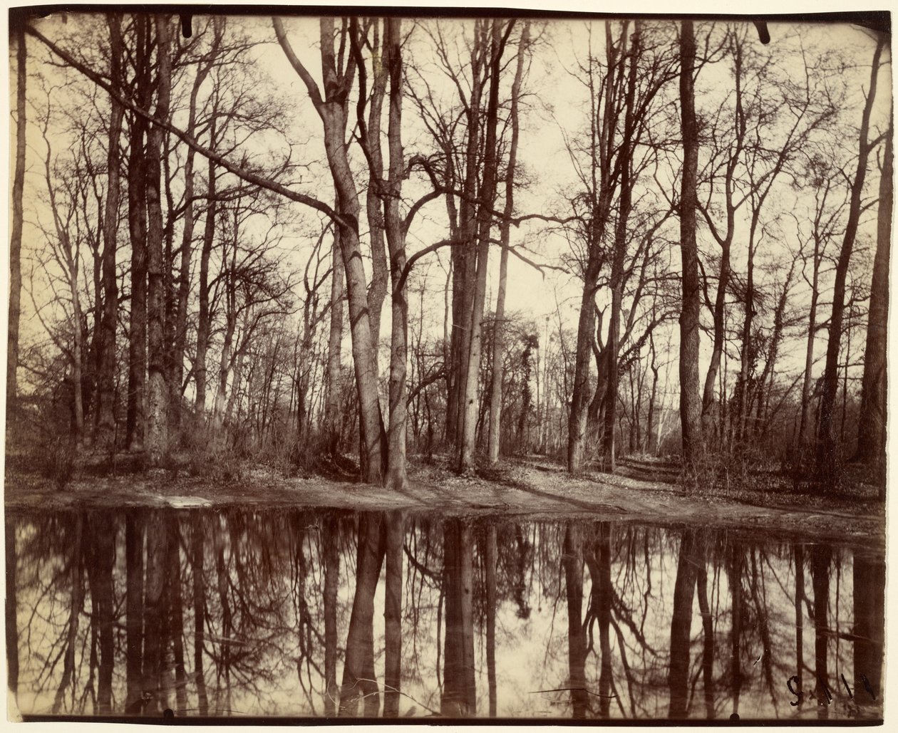 Saint-Cloud tekijältä Eugène Atget